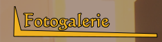 Fotogalerie