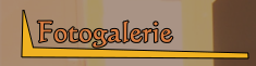 Fotogalerie